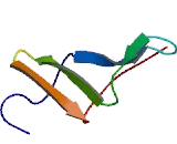 Metastasis Associated In Colon Cancer 1 (MACC1)