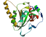 Methionine Sulfoxide Reductase A (MSRA)