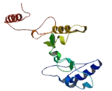 Methylmalonic Aciduria Type A Protein (MMAA)