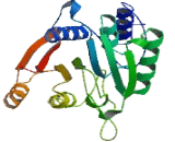 Methyltransferase Like Protein 16 (METTL16)