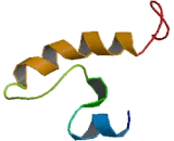 Microfibrillar Associated Protein 5 (MFAP5)