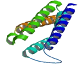 Microsomal Glutathione S Transferase 2 (MGST2)