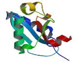 Microtubule Associated Protein 1 Light Chain 3 Beta 2 (MAP1LC3b2)