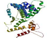 Microtubule Associated Protein 1A (MAP1A)