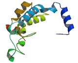 Mitochondrial Carrier Homolog 2 (MTCH2)