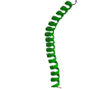 Mitofusin 2 (MFN2)