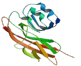 Mucin 15, Cell Surface Associated (MUC15)
