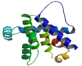 Induced Myeloid Leukemia Cell Differentiation Protein Mcl-1 (MCL1)