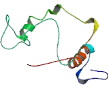 Myeloperoxidase (MPO)