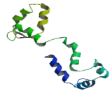 Myosin Light Chain 9, Regulatory (MYL9)