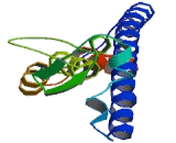 Myosin VIIA And Rab Interacting Protein (MYRIP)