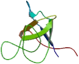 Myosin XV (MYO15)