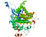 Myotubularin Related Protein 11 (MTMR11)
