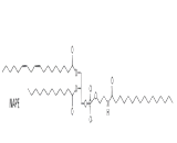 N-Acylphosphatidylethanolamine (NAPE)