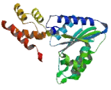 N-Ethylmaleimide Sensitive Factor (NSF)