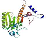NOP2/Sun Domain Family, Member 2 (NSUN2)