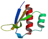 Neuro Oncological Ventral Antigen 1 (NOVA1)