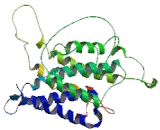 Neuropeptide S Receptor (NPSR)