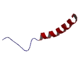 Neuropeptide Y (NPY)