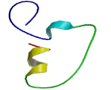 Neuropeptide Y Receptor Y1 (NPY1R)