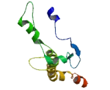 Neurotensin (NT)