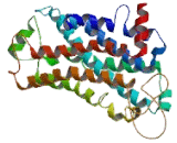 Neurotensin Receptor 1, High Affinity (NTSR1)