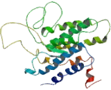 Niacin Receptor 1 (NIACR1)