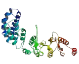 Non SMC Condensin II Complex Subunit D3 (NCAPD3)