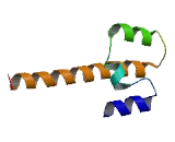 Nuclear Factor, Erythroid Derived 2 Like Protein 2 (NFE2L2)