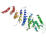 Nucleoporin 85 (NUP85)