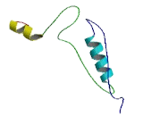 Nucleotide Binding Protein Like Protein (NUBPL)