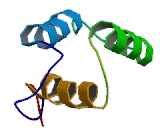 Octamer Binding Transcription Factor 4 (OCT4)