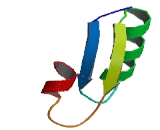 Olfactory Receptor 13G1 (OR13G1)