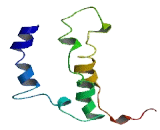 Olfactory Receptor 5F1 (OR5F1)