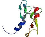 Opioid Receptor Sigma 1 (OPRs1)