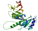 Optic Atrophy 1, Autosomal Dominant (OPA1)