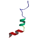 Orexin (OX)