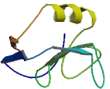 Osteocrin (OSTN)