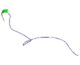 Outer Dense Fiber Protein 3B (ODF3B)