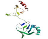 Oxidative Stress Induced Growth Inhibitor 1 (OSGIN1)