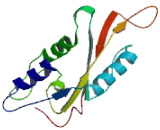 Peptidase Inhibitor 16 (PI16)