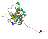 Peroxiredoxin 1 (PRDX1)