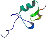 Peroxisomal Biogenesis Factor 2 (PEX2)