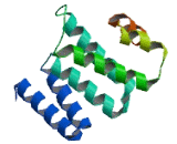 Peroxisomal Biogenesis Factor 5 Like Protein (PEX5L)