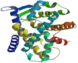 Peroxisome Proliferator Activated Receptor Alpha (PPARa)