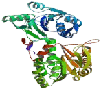 Phosphoglycerate Kinase 1 (PGK1)