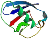 Phosphoinositide-3-Kinase Catalytic Beta Polypeptide (PIK3Cb)