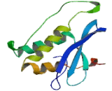 Phosphoinositide-3-Kinase Class-2-Alpha Polypeptide (PIK3C2a)