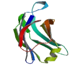 Phosphoinositide-3-Kinase Class-2-Beta Polypeptide (PIK3C2b)