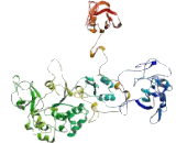 Phospholipase C Delta 4 (PLCd4)